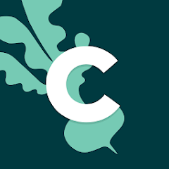 crisp app icon